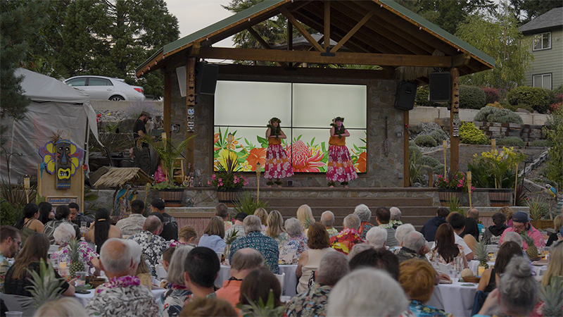 Hula dancers